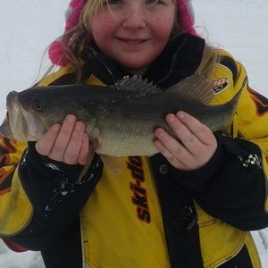 Meet your Posher, Rick